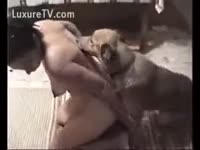 [ Beast Porn Tube ] Brunette wishes her dog